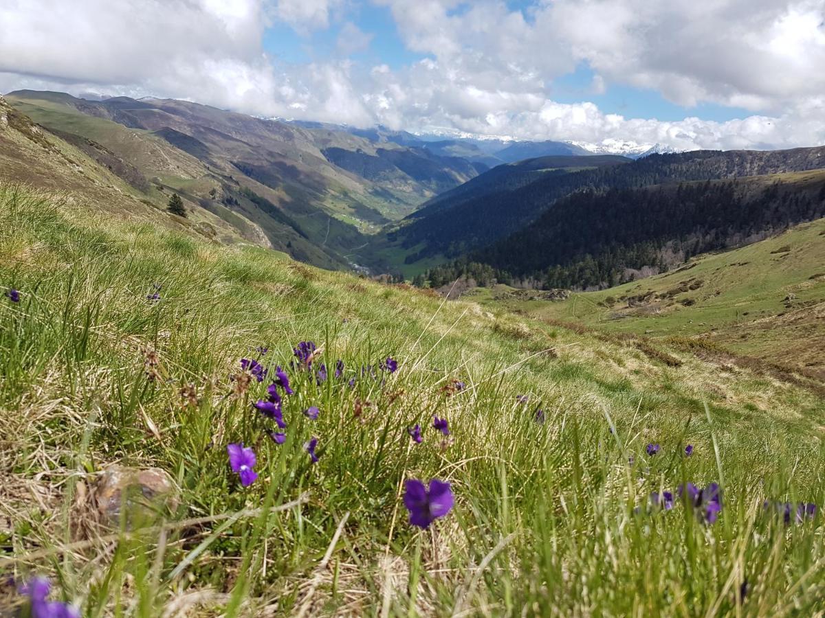Апартаменты La Pepite Bagneres-de-Luchon Экстерьер фото